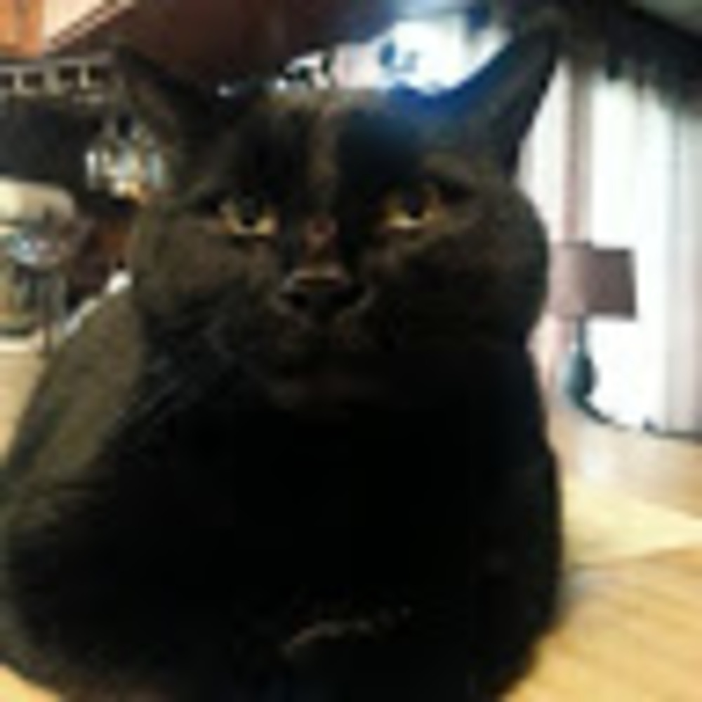 Meet your Posher, Stephenie